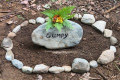 GUMPY-5A
