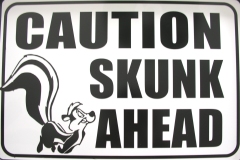 20-SKUNK-AHEAD