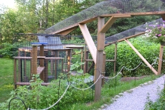 Skyways to New Cat Pens