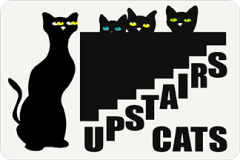 upstairscats